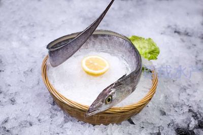 帶魚(Ribbonfish)